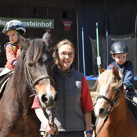 Romantische Ferien Auf Dem Nachhaltig Oekologisch Sanierten Bauernhof Ebersbach-Neugersdorf