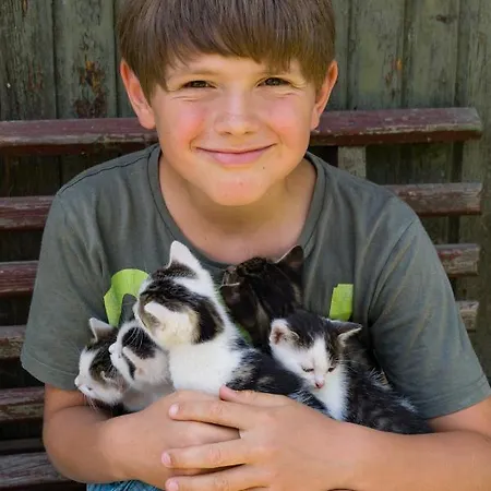 Apartman Romantische Ferien Auf Dem Nachhaltig Oekologisch Sanierten Bauernhof Ebersbach-Neugersdorf