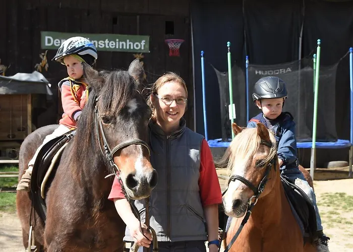 Romantische Ferien Auf Dem Nachhaltig Oekologisch Sanierten Bauernhof Ebersbach-Neugersdorf
