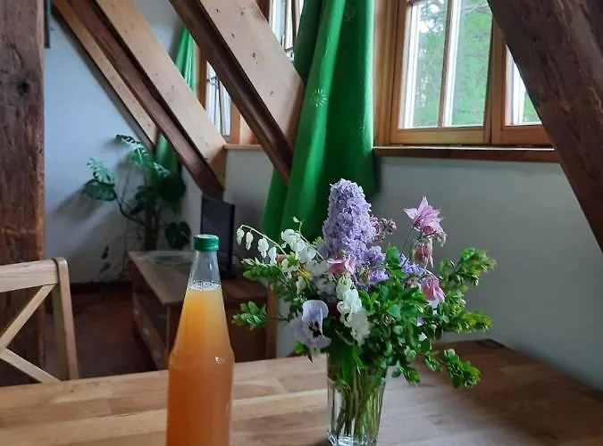 Romantische Ferien Auf Dem Nachhaltig Oekologisch Sanierten Bauernhof Апартаменты *