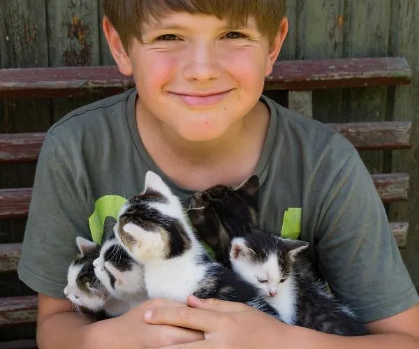 Апартаменты Romantische Ferien Auf Dem Nachhaltig Oekologisch Sanierten Bauernhof Ebersbach-Neugersdorf